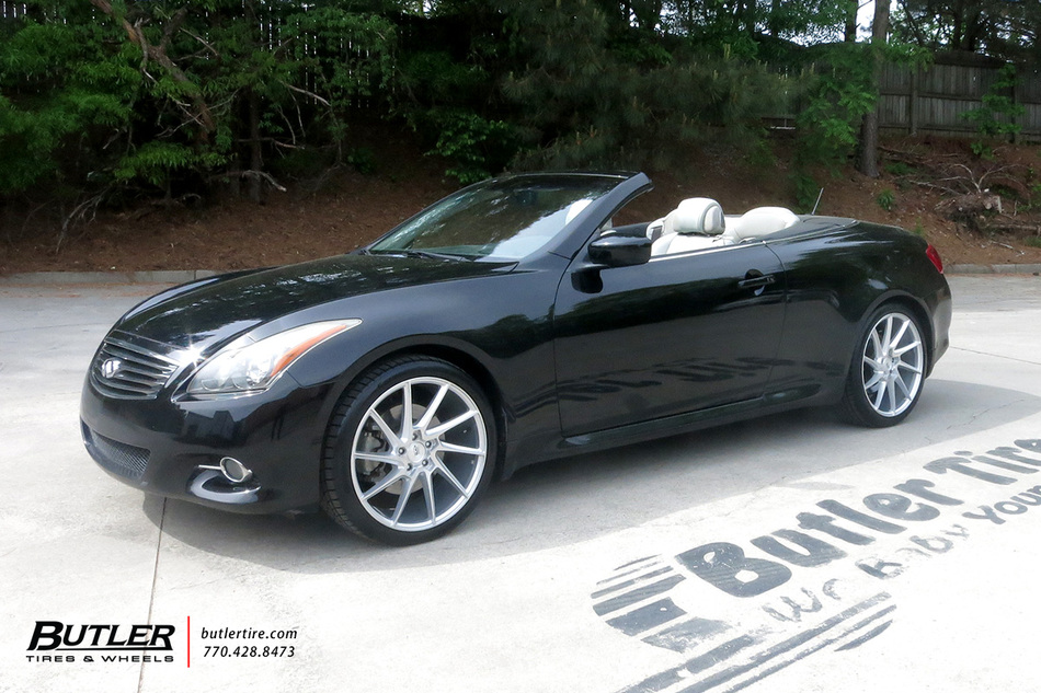 Biancalani 花瓶☆SALE Verve Whirlygig Assorted Zinnia Seeds